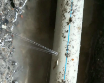 萨尔图卫生间测漏水多少钱